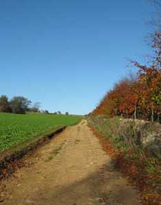 bridleway 